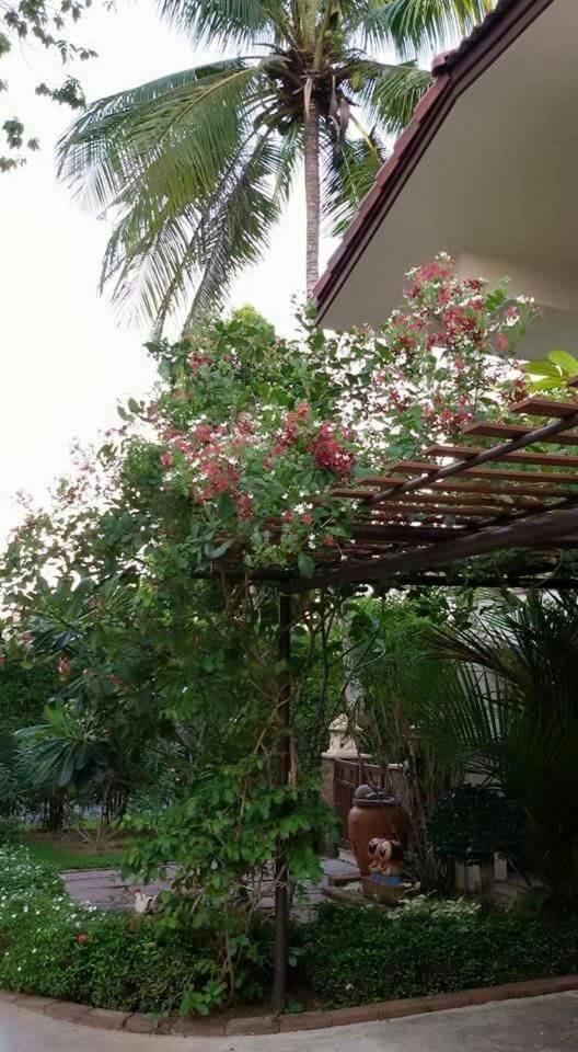 Periwinkle Villa Koh Chang Exteriör bild